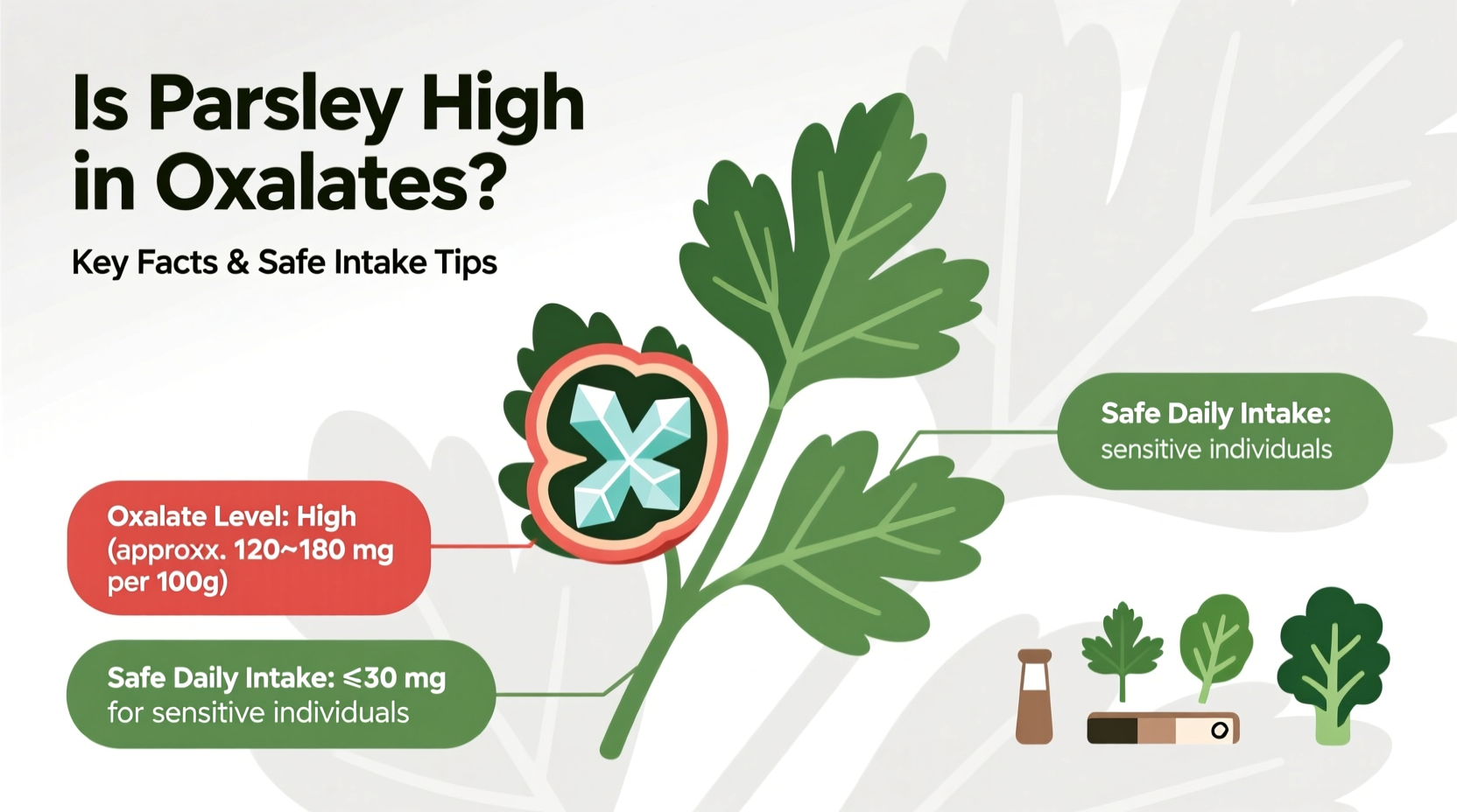 Parsley & Oxalates: 5 Safety Tips | TheHomeSprouts