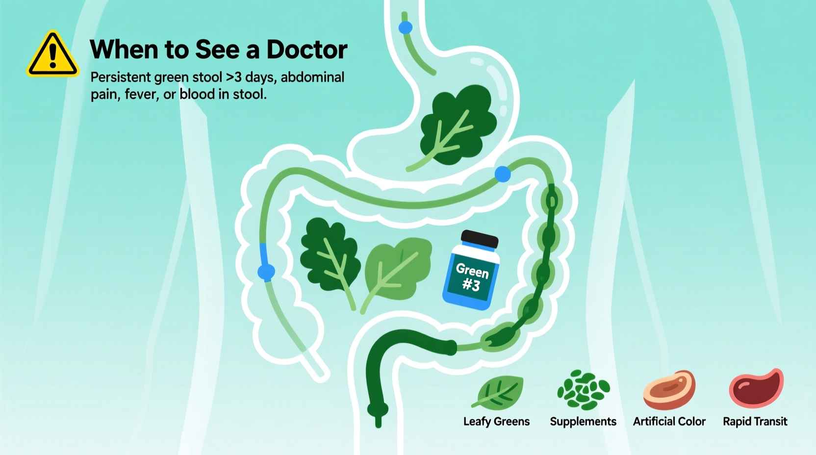 why is my poop green common dietary causes and when to be concerned