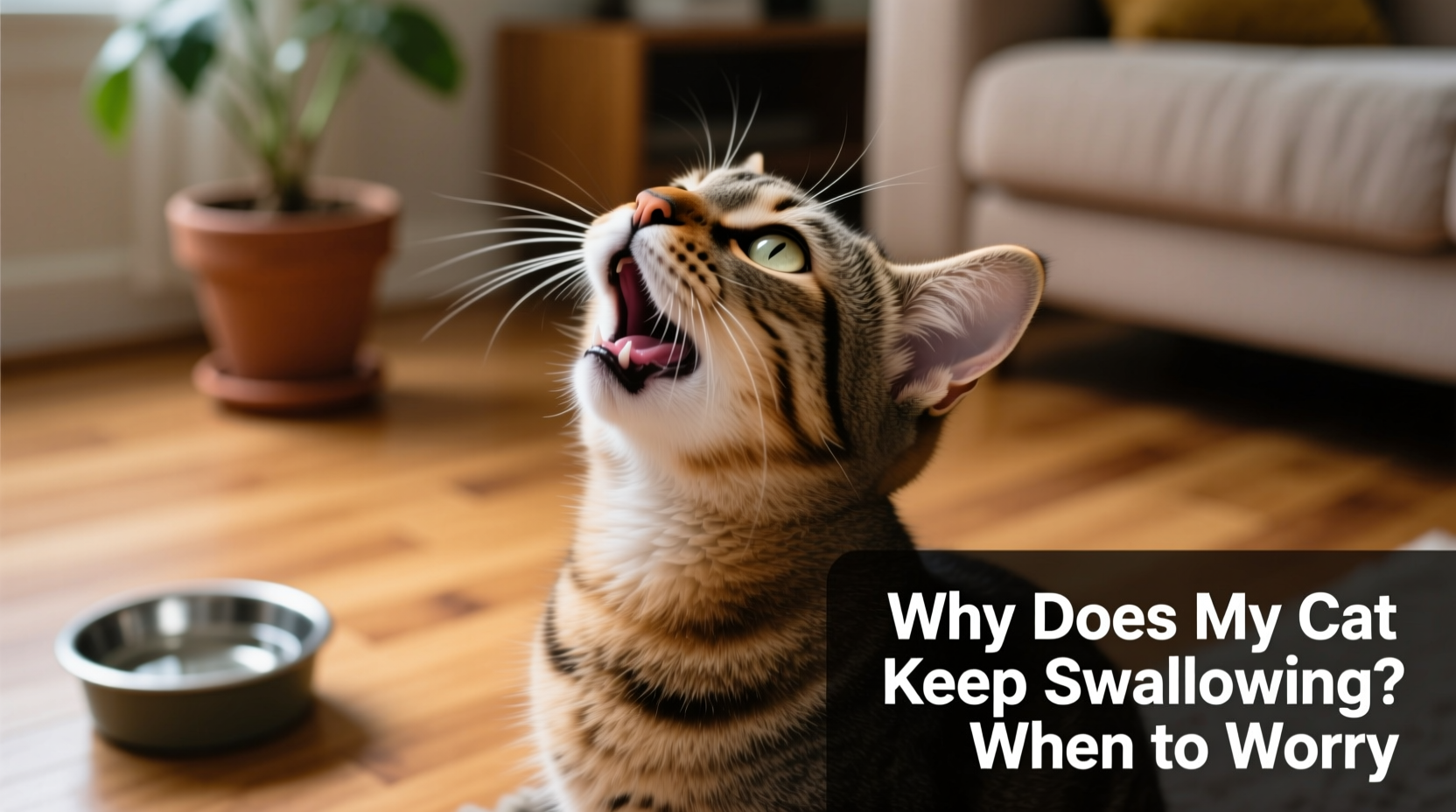 why does my cat keep swallowing causes when to worry