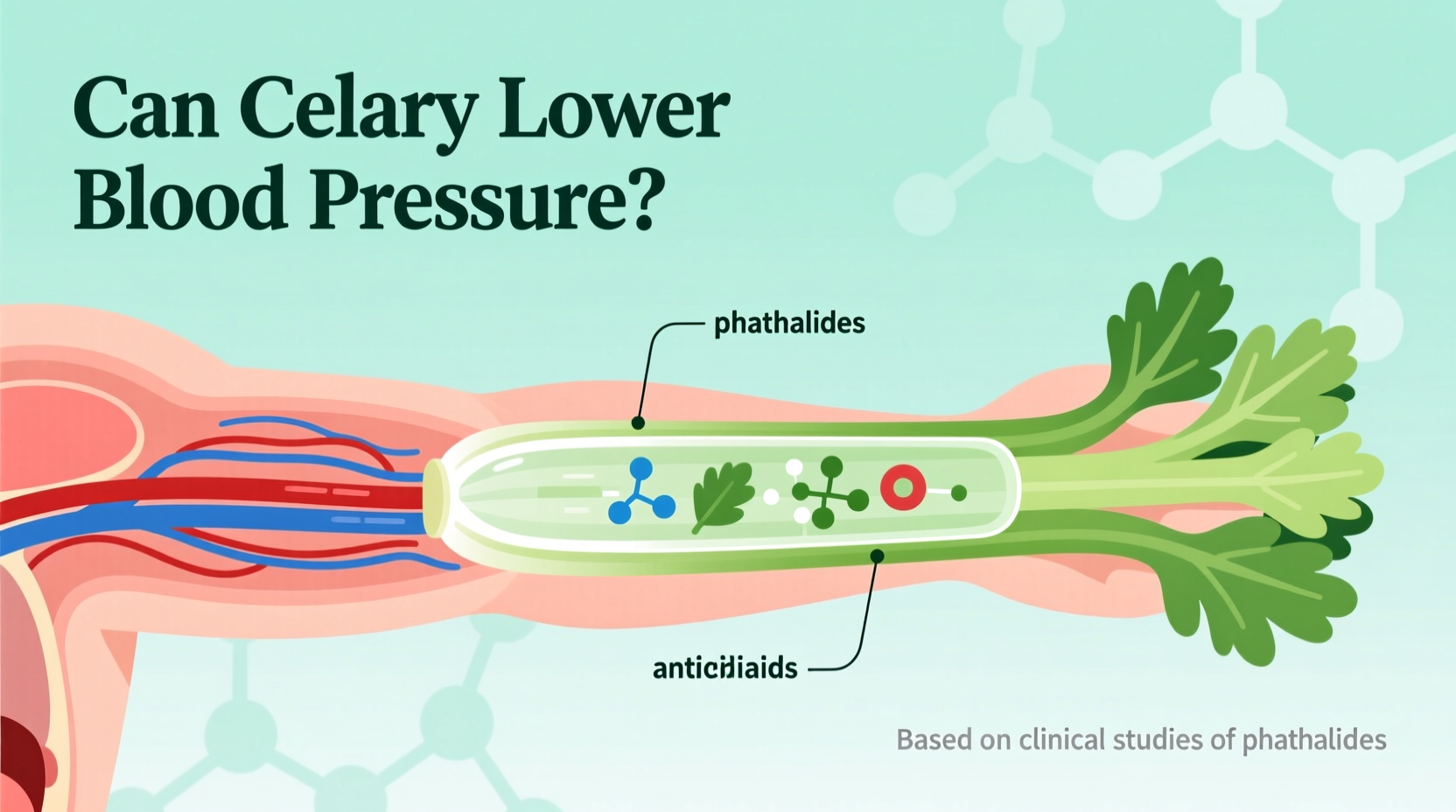 Can Celery Lower Blood Pressure? Research-Based Facts