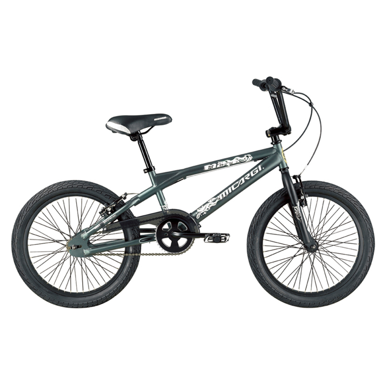 BMXバイク用最も人気のあるダブルディスクブレーキ、20インチディスク
