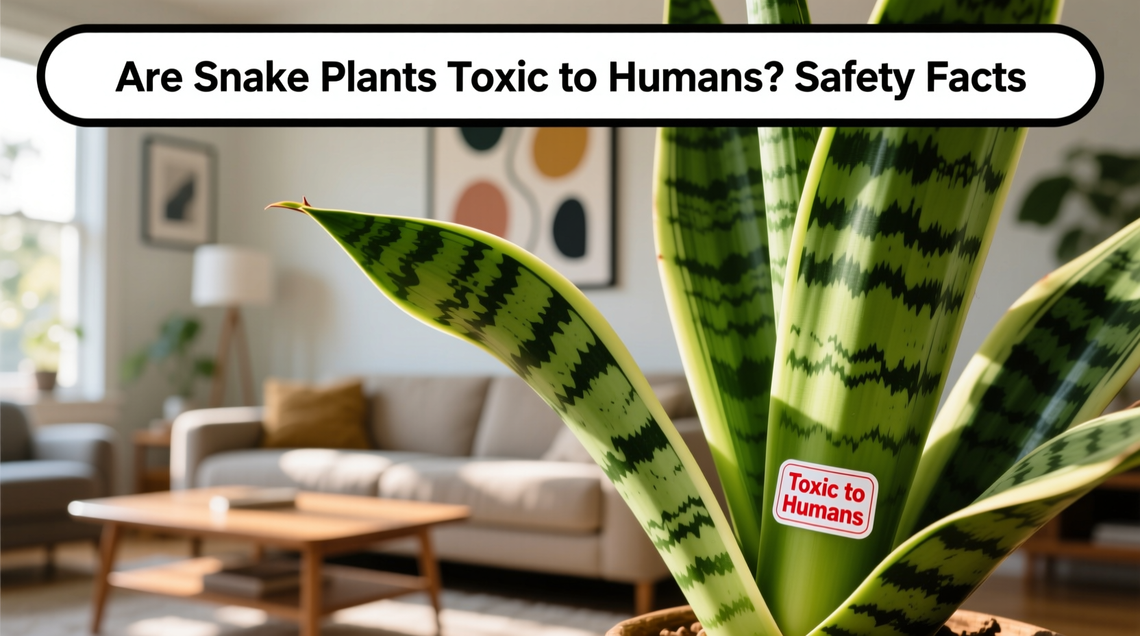 are snake plants toxic to humans