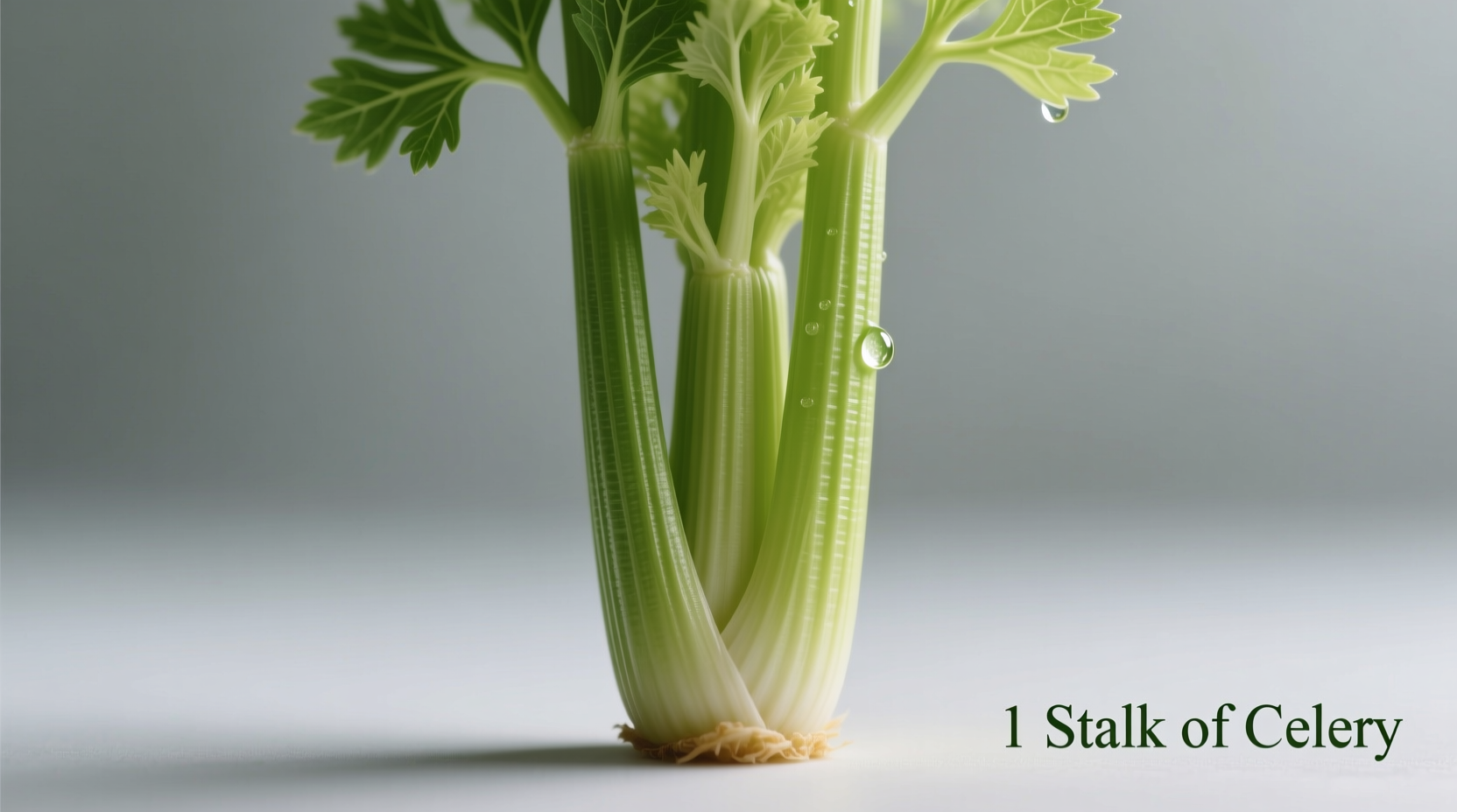 What Is 1 Stalk of Celery: Measurement Guide & Culinary Facts