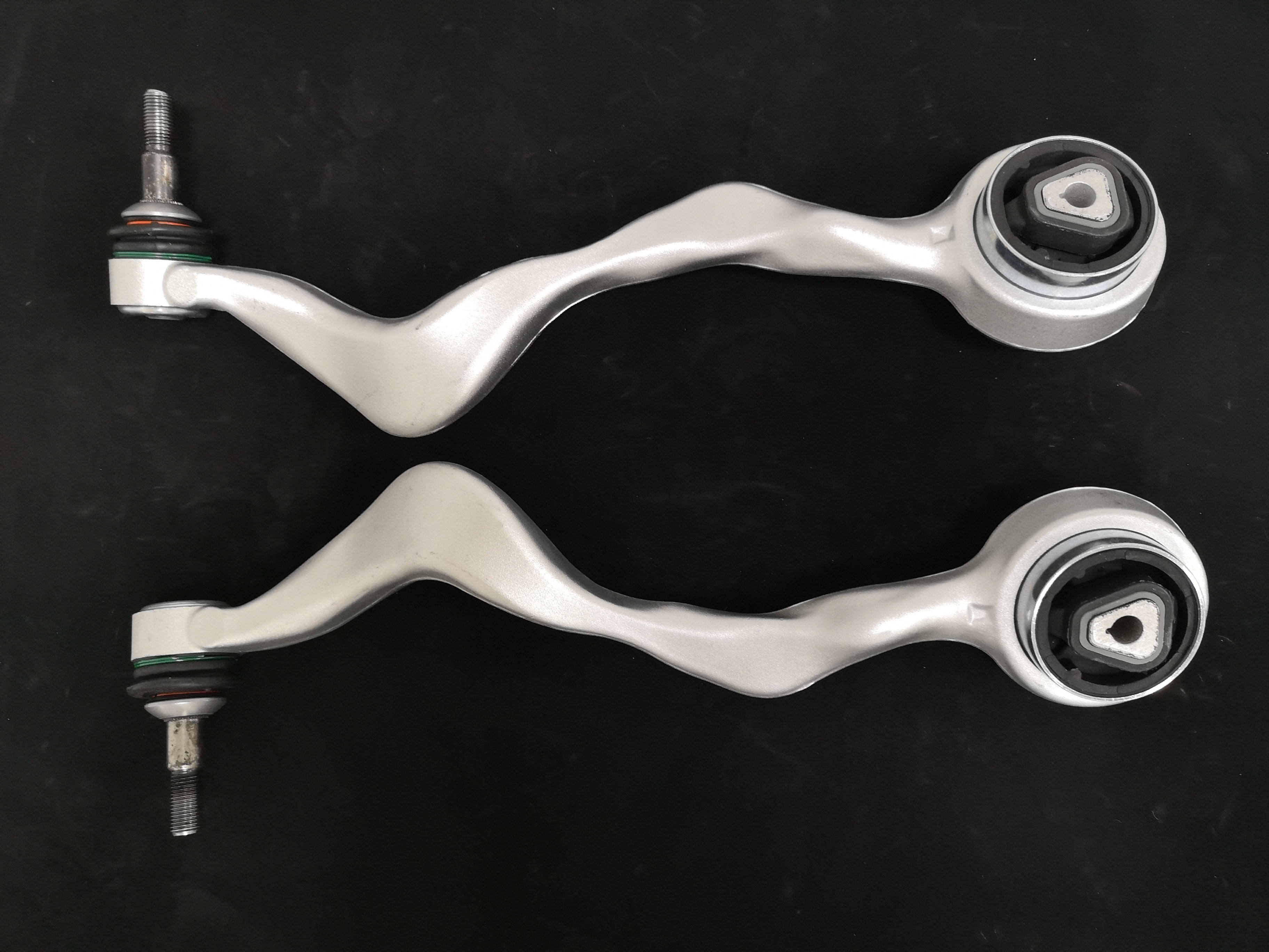 高品質　ベルベットモンキー 全身剥製 ★ A ☆ 即納 ☆ 高品質 ベルベットモンキー 全身剥製 ☆ B - 頭骨