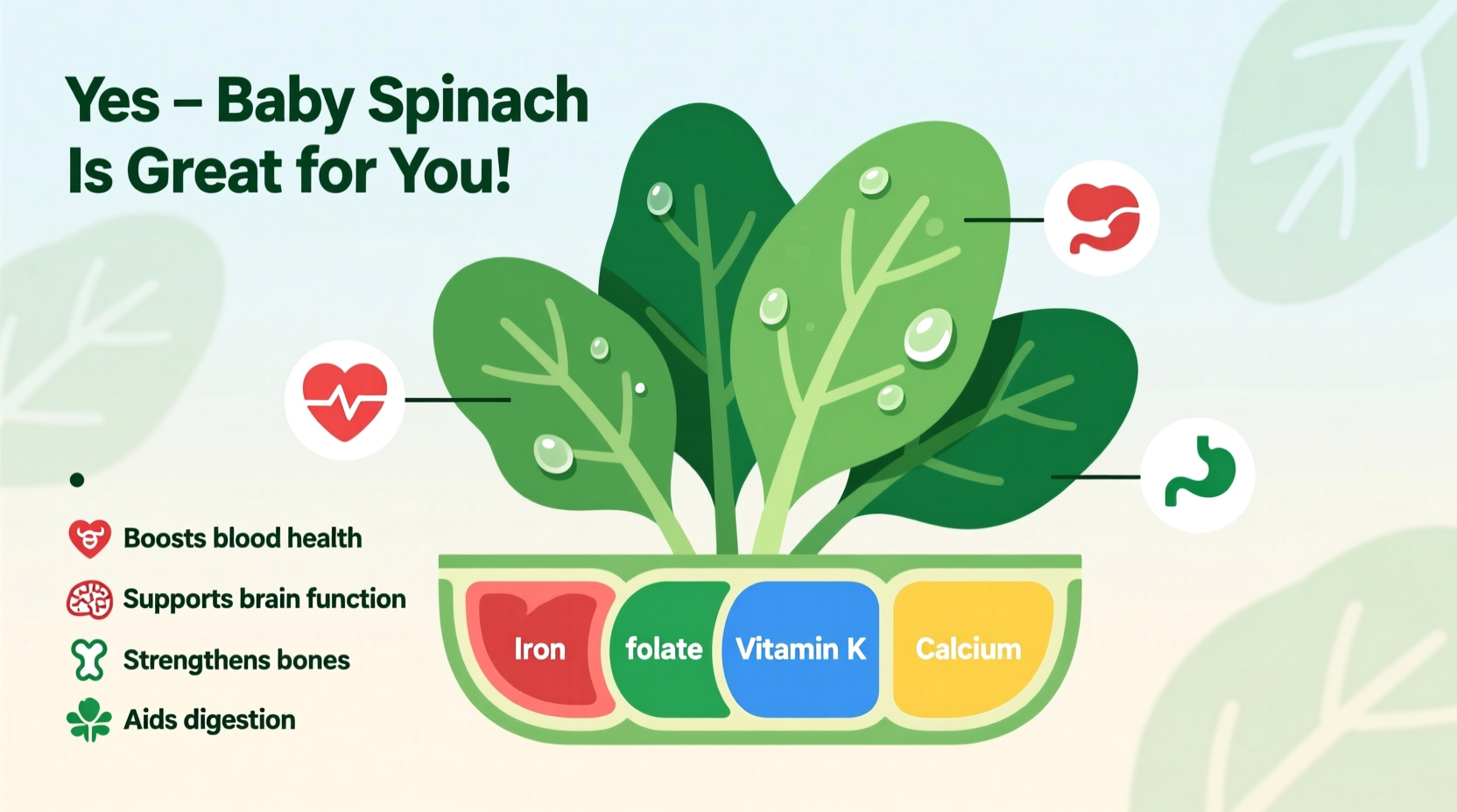 Is Baby Spinach Good for You? Science-Backed Benefits