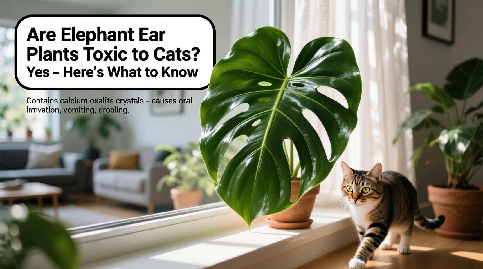 are elephant ear plants toxic to cats