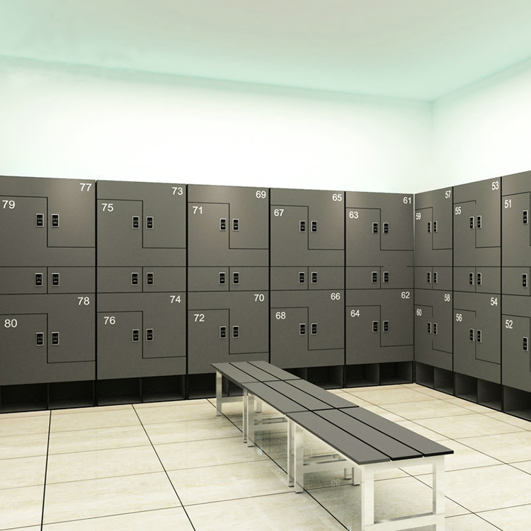 Changing Rooms Customized Size Color High Pressure Laminate Locker, School Gym Hospital Factory Direct Selling Hpl Locker/