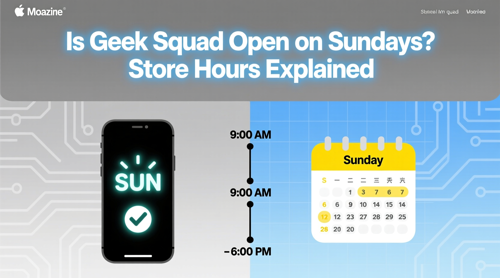 is geek squad open on sundays