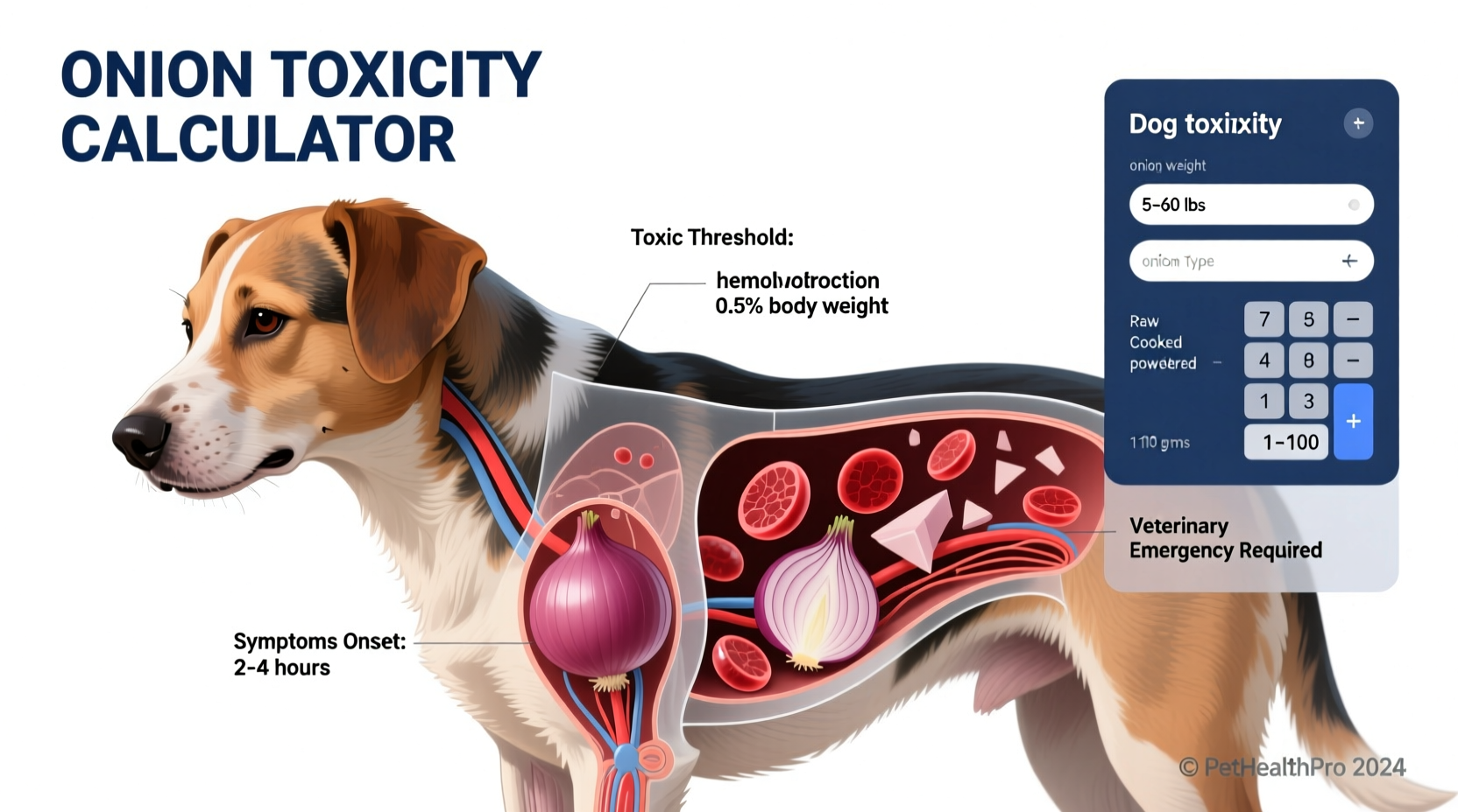Dog Onion Toxicity Calculator: Risk Levels & Action Guide
