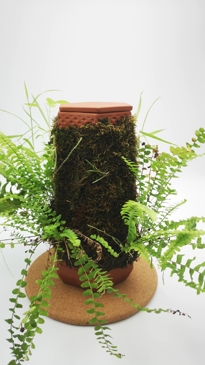 thumbnail image 2 of 6 Pack Self Watering Pots For Indoor Plants 4 Inch Small 2 of 12