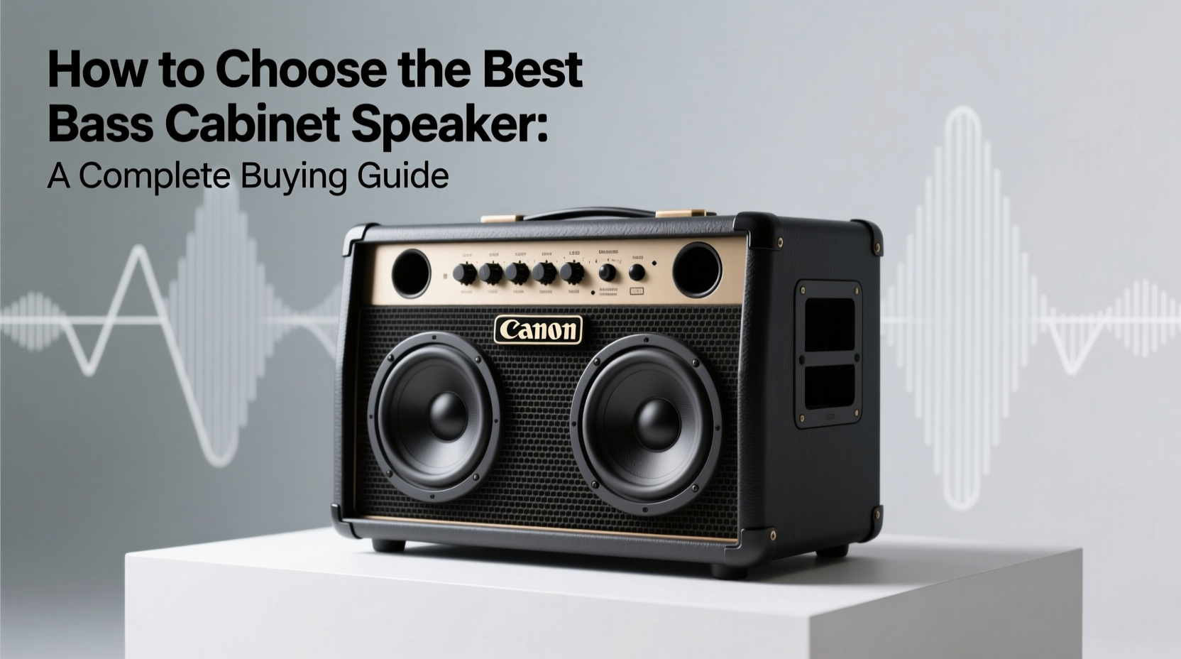 bass cabinet speaker