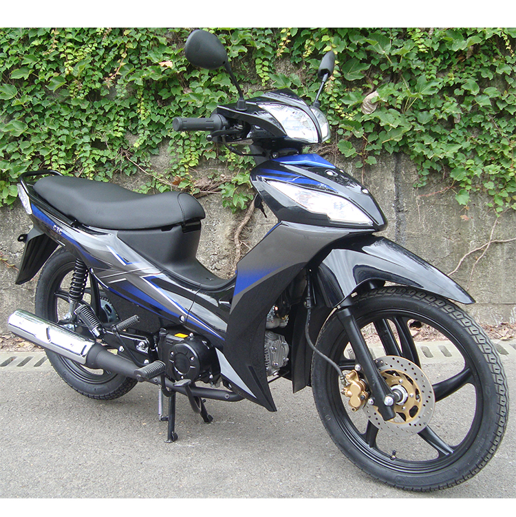 产品描述公司信息2010基金会,隆多是全球汽车声誉,汽车声誉和声誉