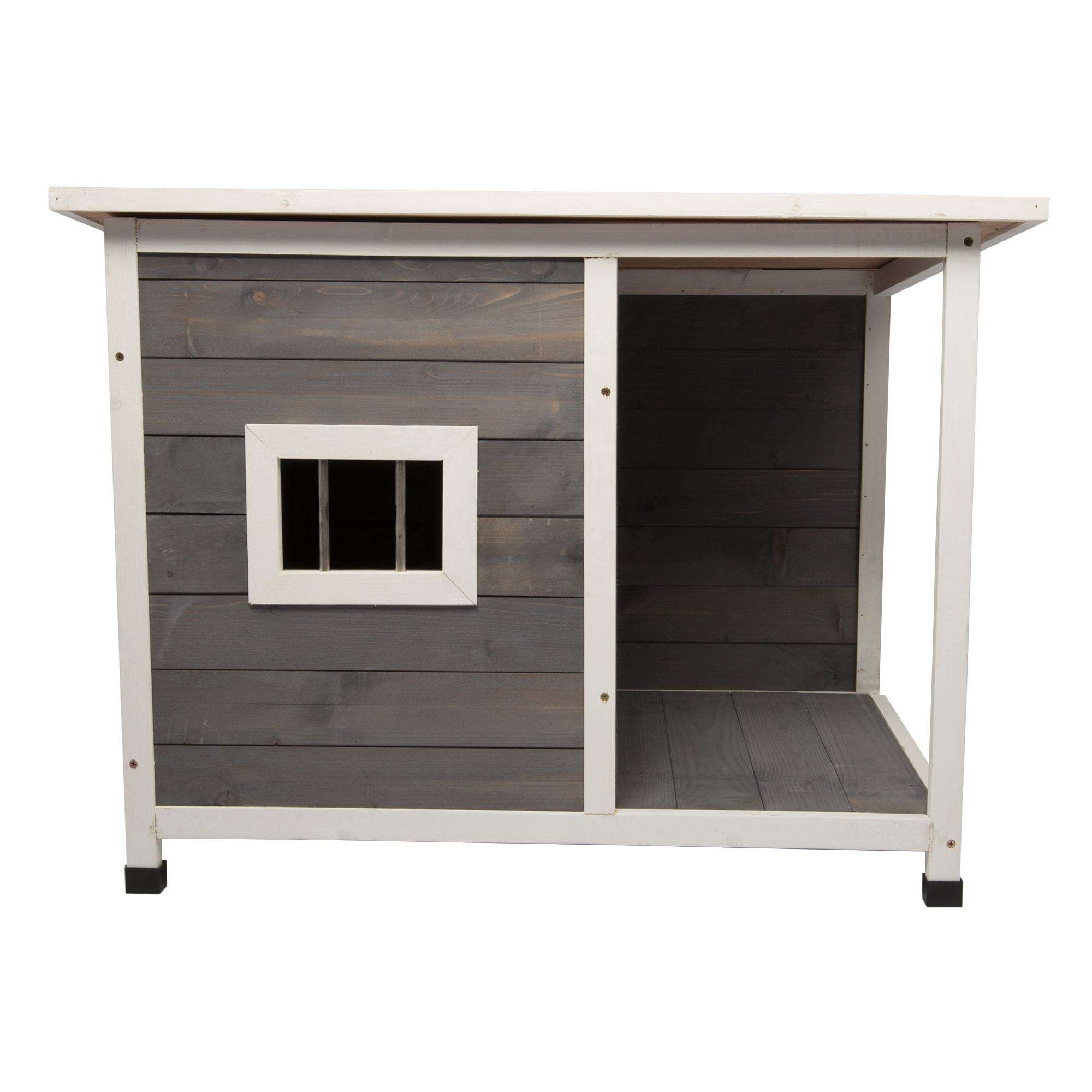 Do Birds Fly South During Winter? Yes, Many Do