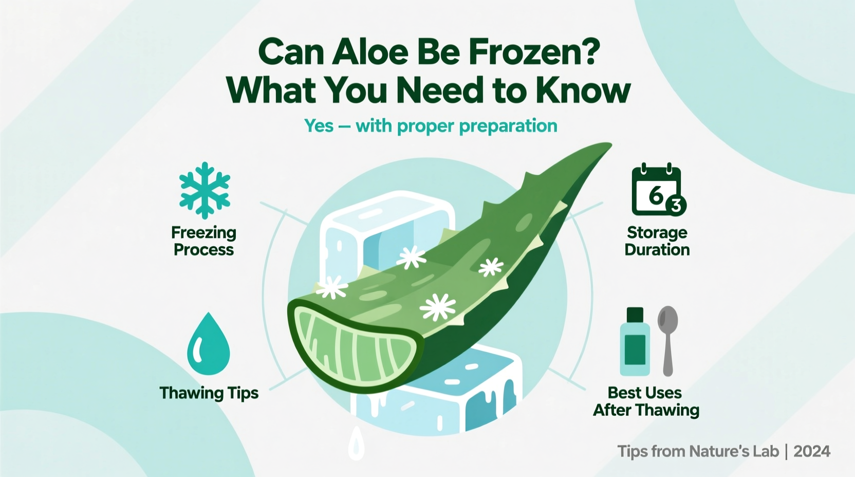 Can Aloe Be Frozen? What You Need to Know