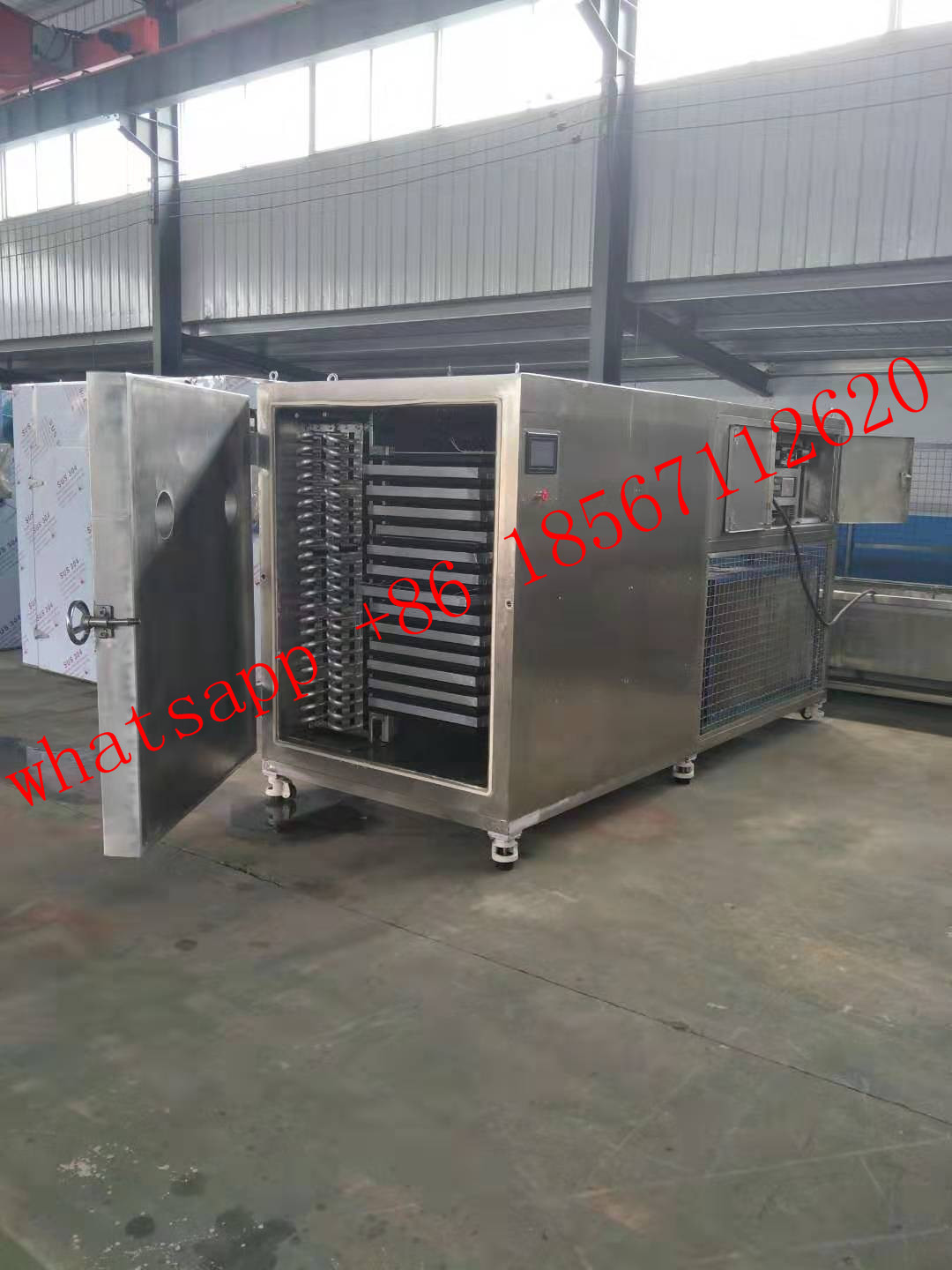 Commercial industrial  lyophilize australia food vacuum freeze dryer machine