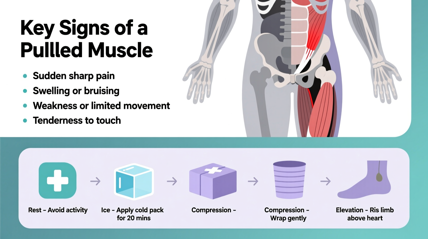 how to identify a pulled muscle key signs and effective first steps for relief