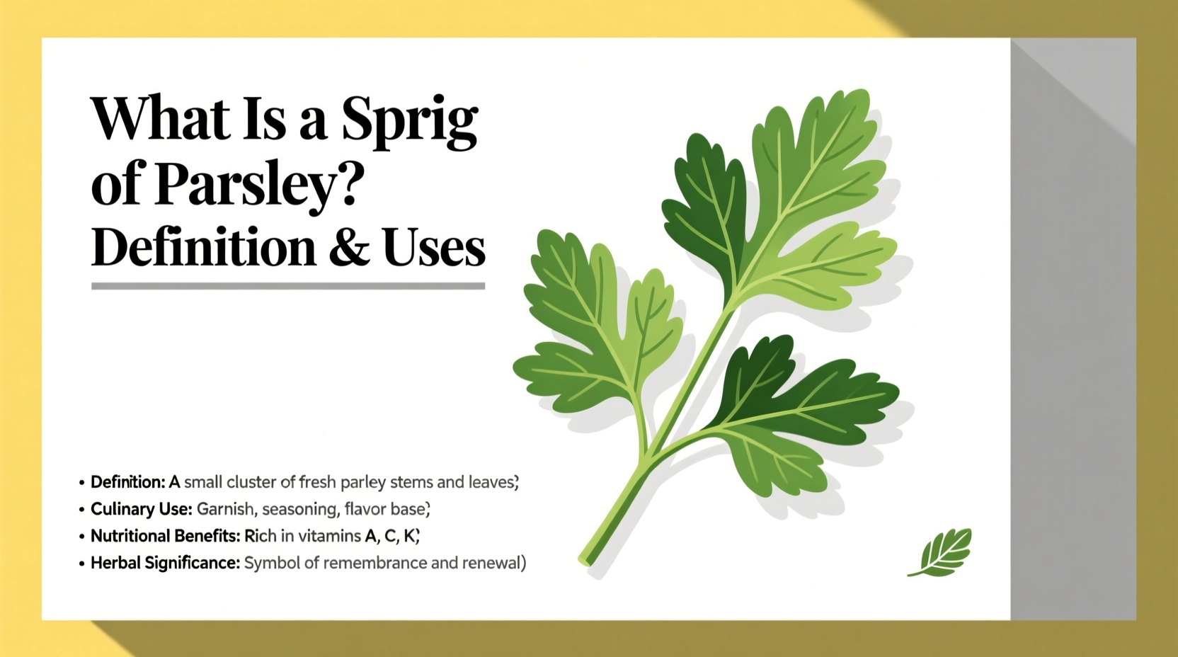 What Is a Sprig of Parsley? Definition & Uses