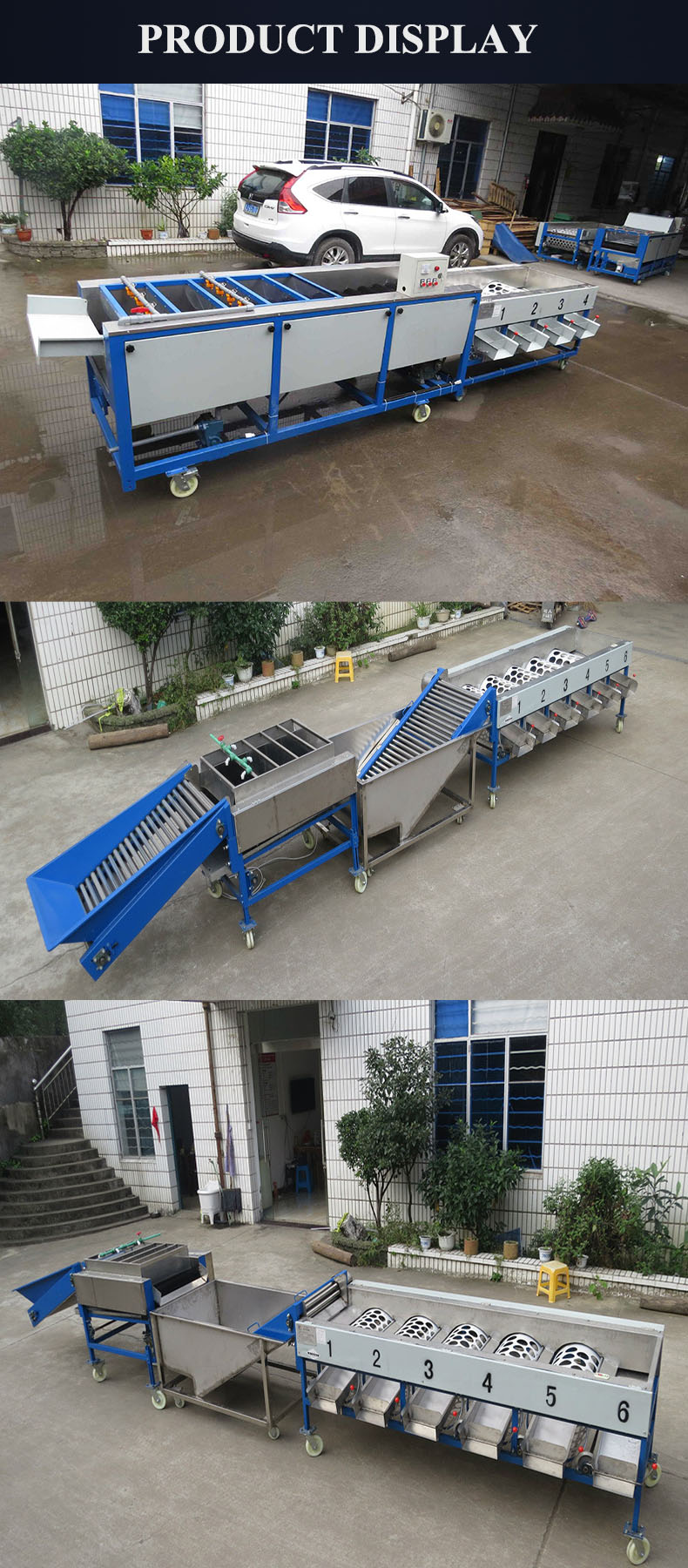 商用马铃薯洗涤清洗分选机马铃薯尺寸分级机分拣机马铃薯蔬菜分级机