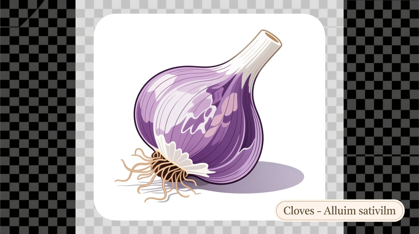 Clove PNG: Best Resources & Usage Guide for Food Creators