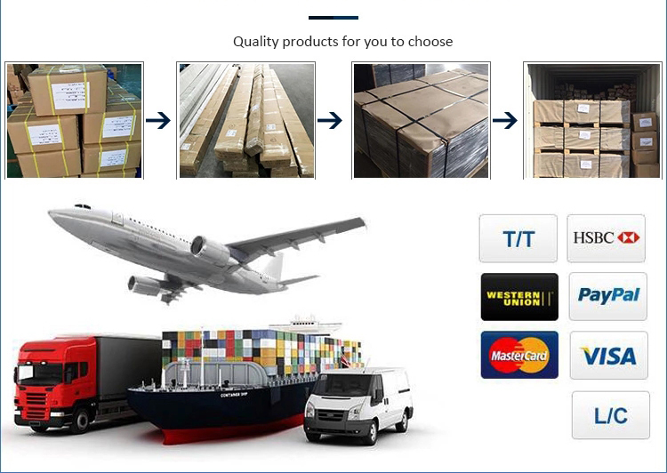 Changing Rooms Customized Size Color High Pressure Laminate Locker, School Gym Hospital Factory Direct Selling Hpl Locker/