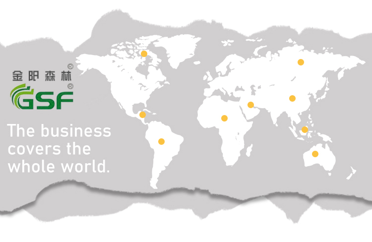 GSF self adhesive sticker paperbe printed label or sticker