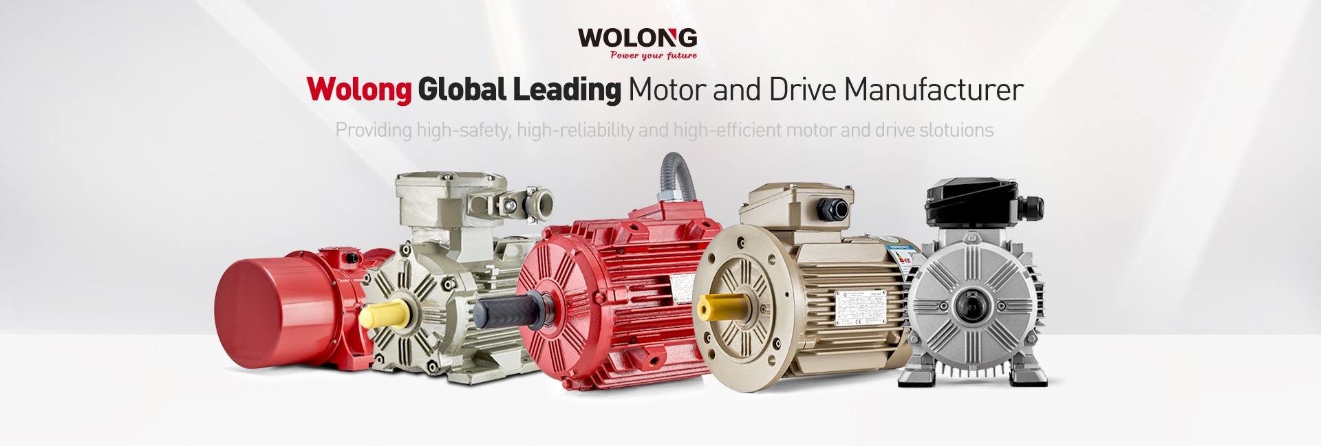 Wolong Electric Group Co., Ltd. Motor, Transformer