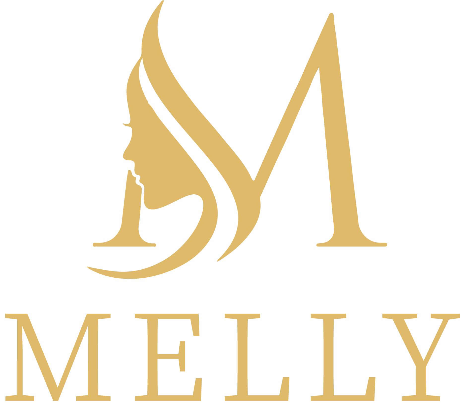 supplierLogo