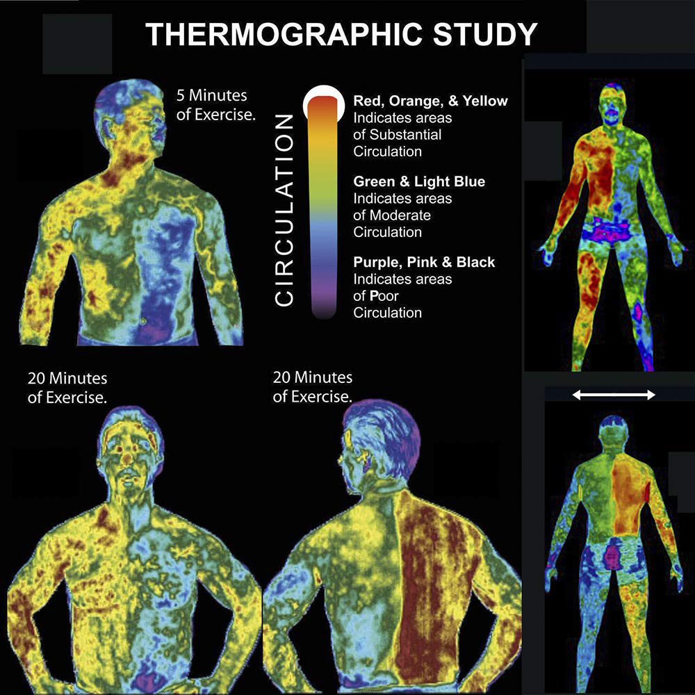 Ιδιωτική κρέμα ανυψωτών Workout ιδρώτα δερμάτων κρέμας ετικετών φυσική παχιά καίγοντας