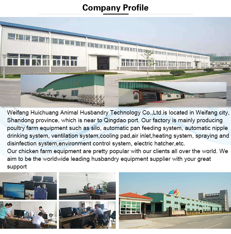 Automatic Feeding Line For Poultry Poultry Equipments Production Line Feeding Chicken Feeder Poultry Farm Animal Feeders