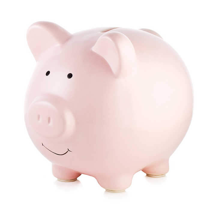 フランス製】空飛ぶブタの貯金箱 flying piggy bank 鋳鉄