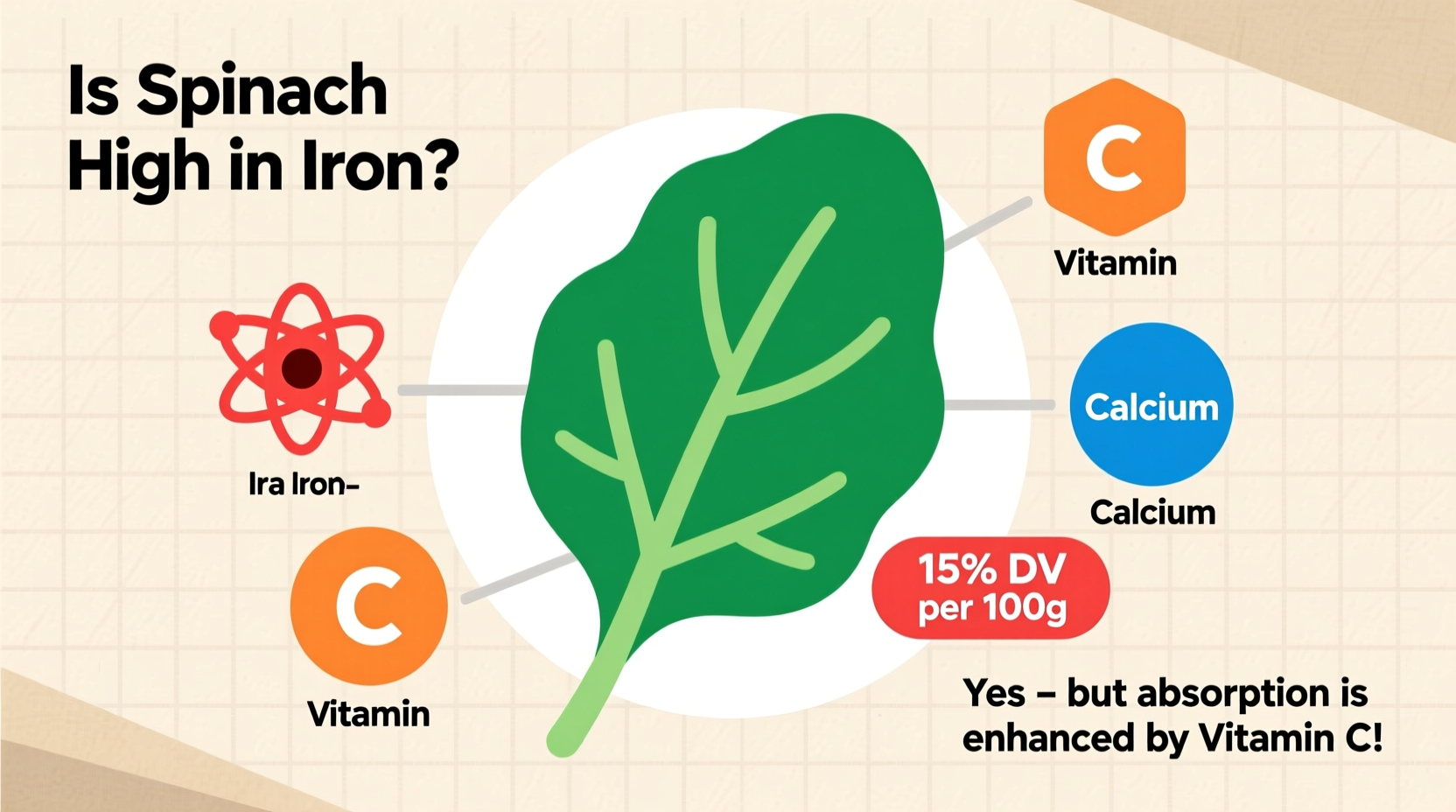 Spinach Iron Content: Truth Behind the Popeye Myth