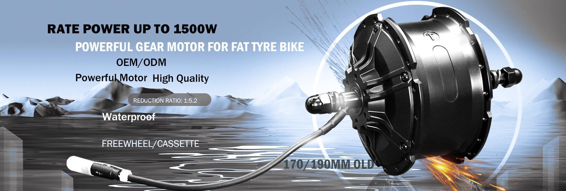 Hangzhou Haloway Power Technology Co., Ltd. electric bike Motor