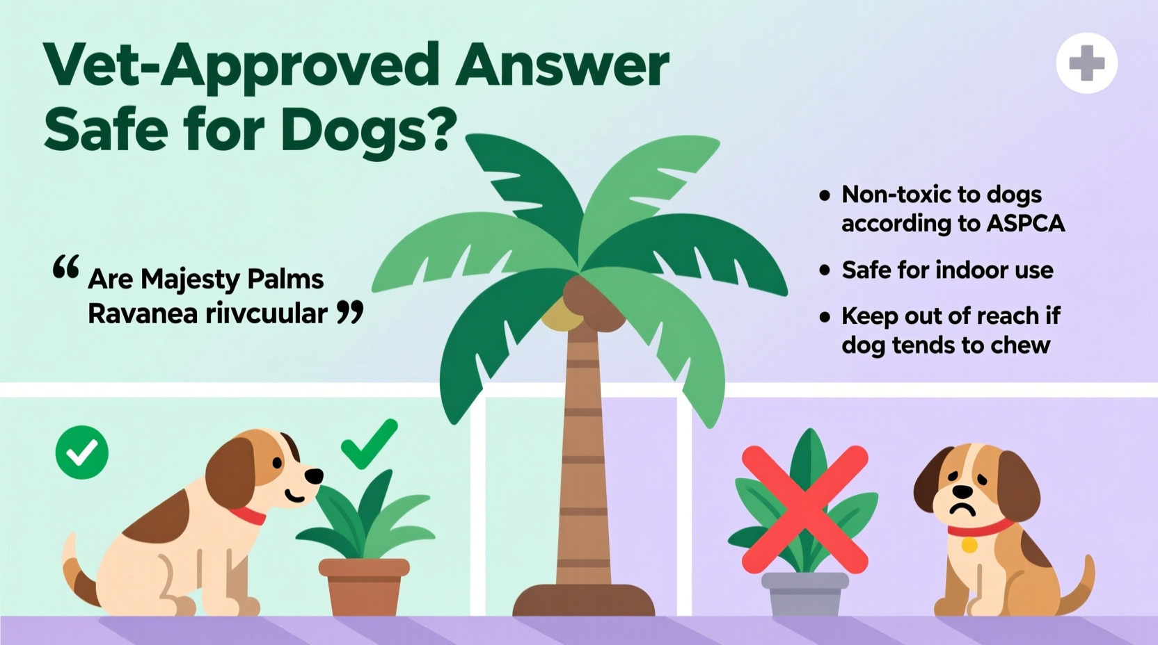 are majesty palms safe for dogs