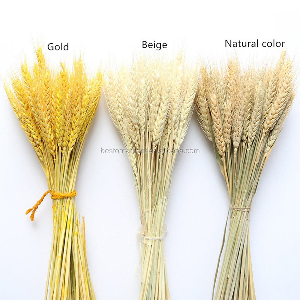 100Pcs/lot Real Natural Wheat Ear Flower Bouquets Wedding Bouquet Dried Flowers Decor