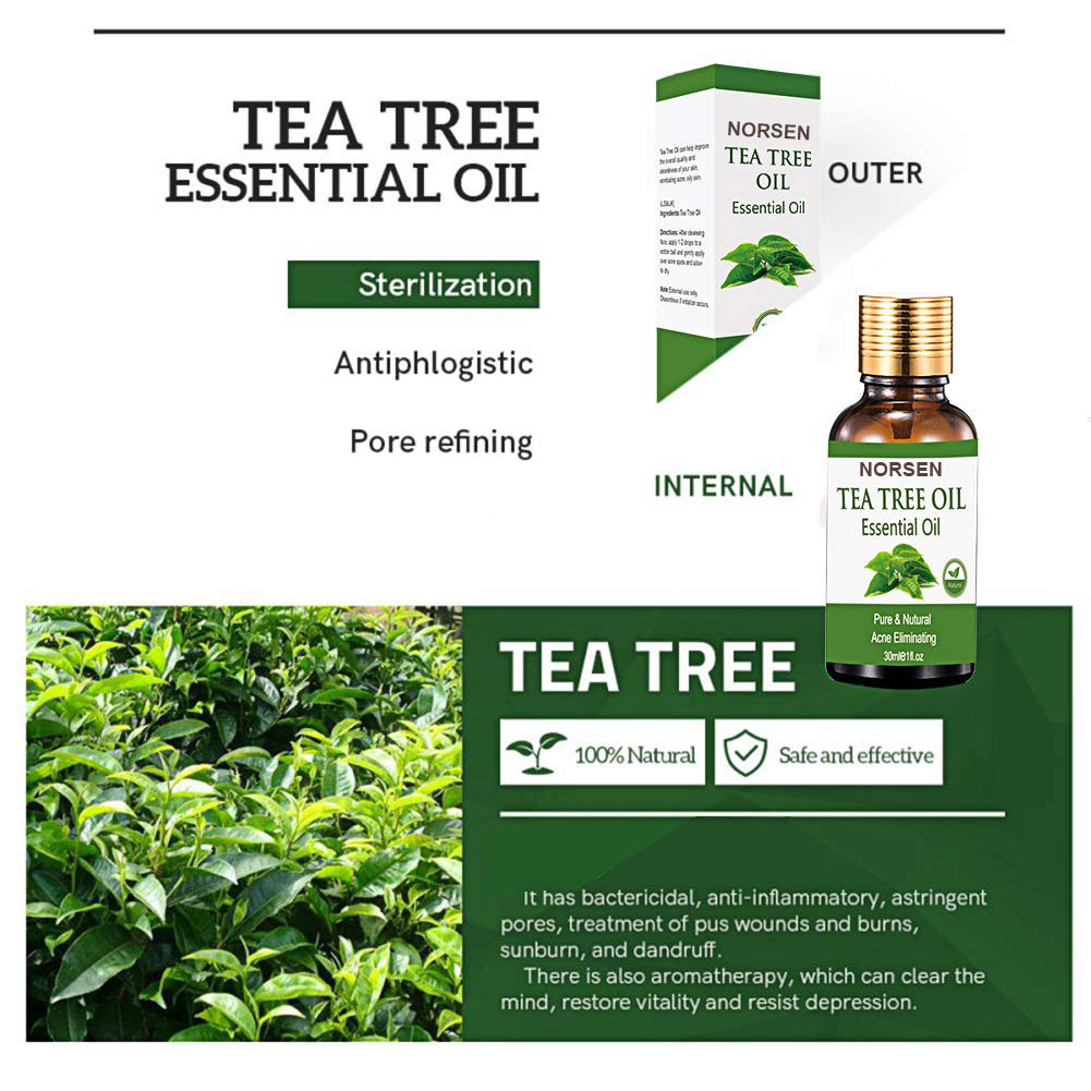 Wholesale High Quality 100% Pure Natural Organic Tea Tree Essential Oil