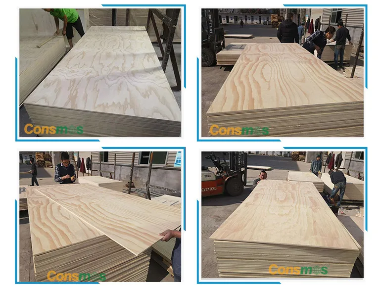 18mm radiata pine plywood for furniture ,BB/CC grade pine face plywood from Linyi consmos