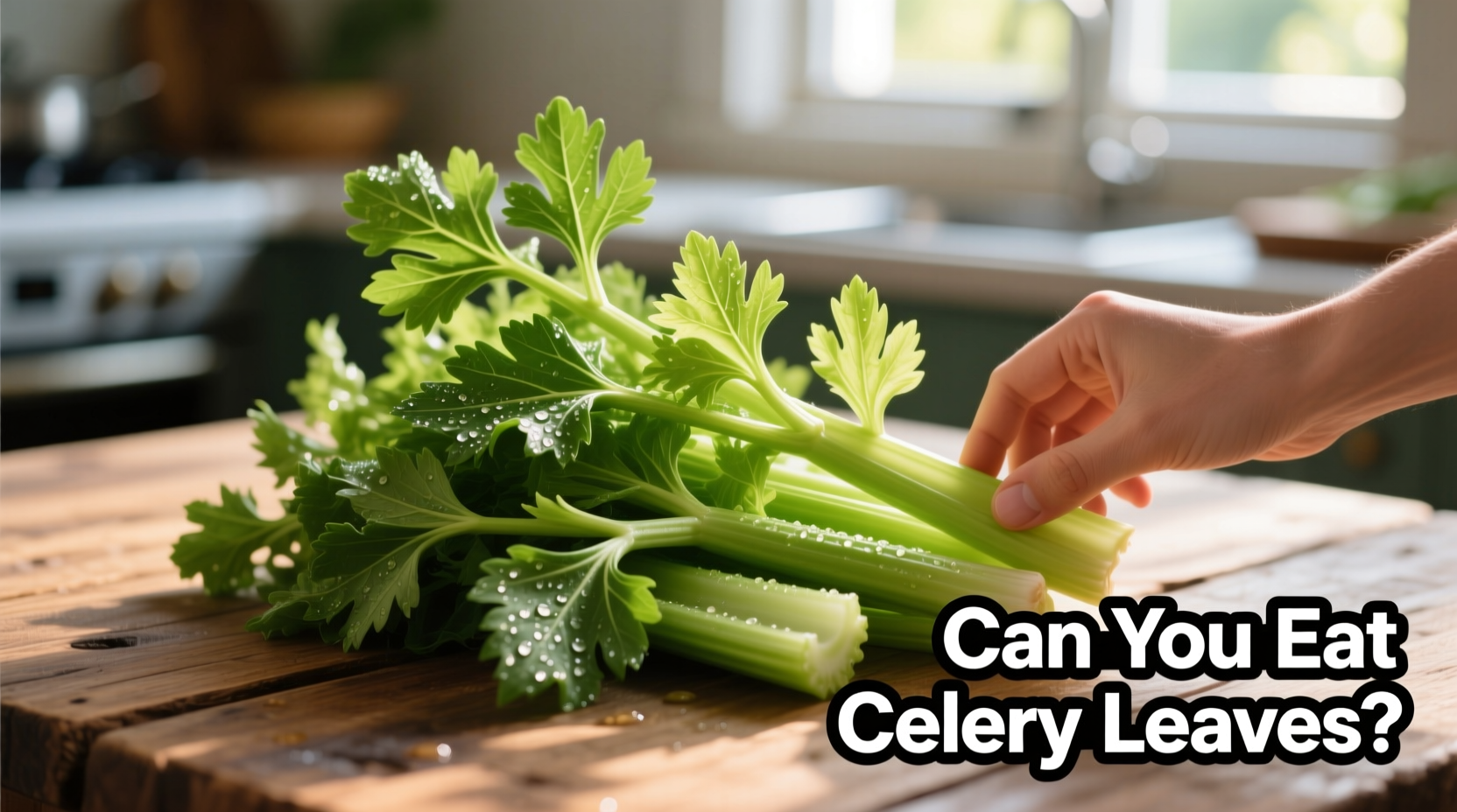 can you eat celery leaves