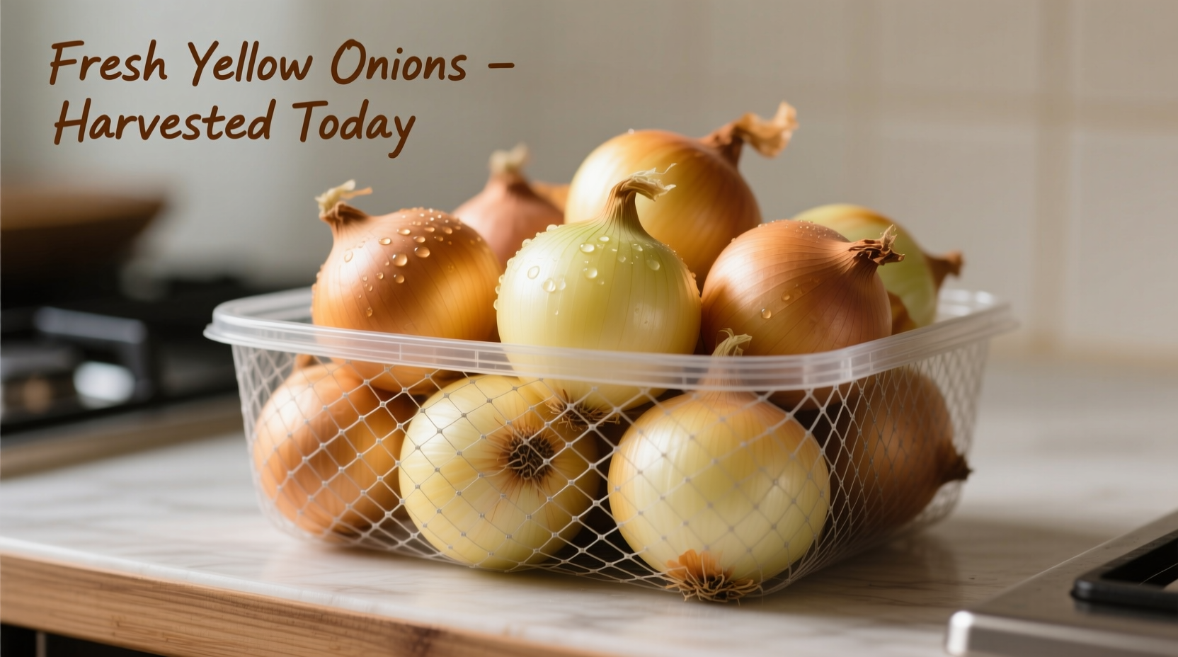 Mesh onion container with fresh yellow onions