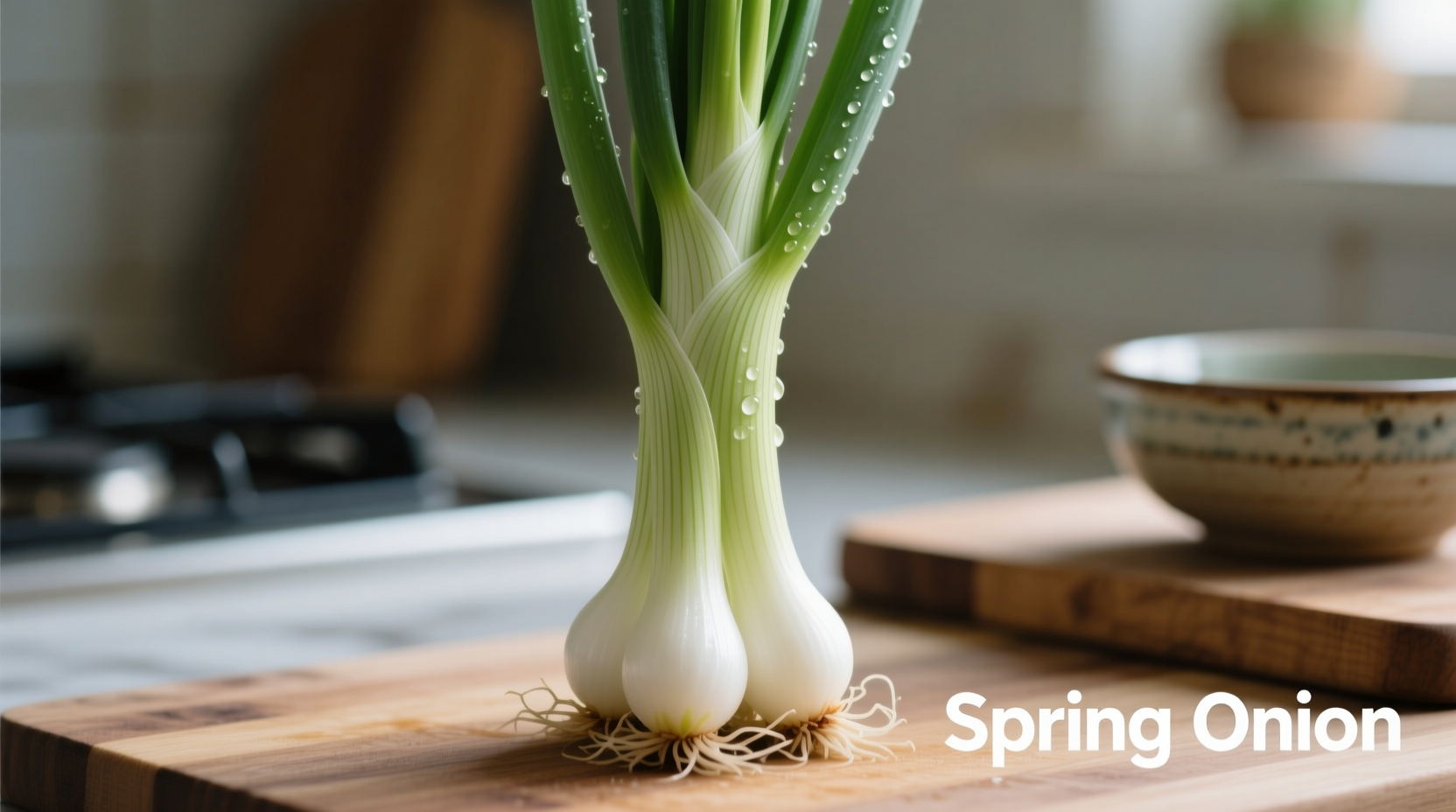 what is a spring onion