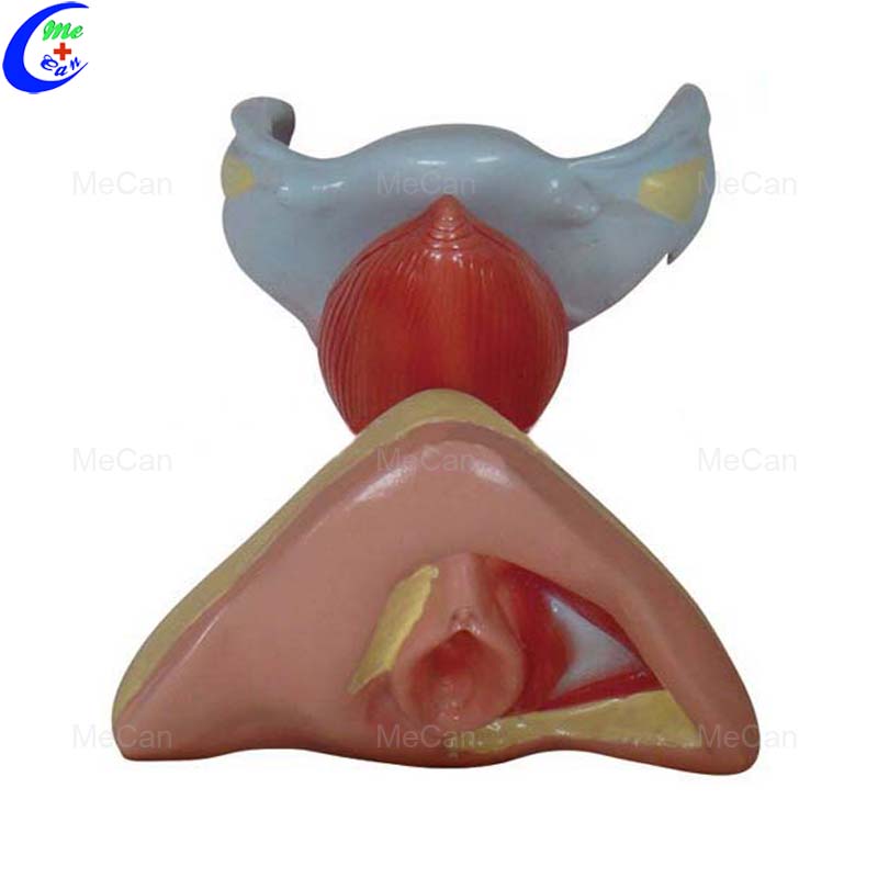 The Matrix Mendes ishtirokidagi porno tomosha qiling