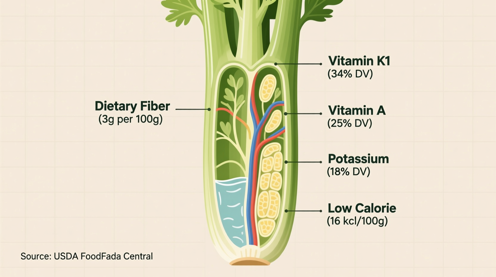 Celery Nutritional Value: Science-Backed Facts Revealed