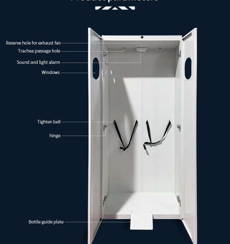 Hot sale All steel Gas Cylinder Cabinet  for Laboratory Lab Furniture/