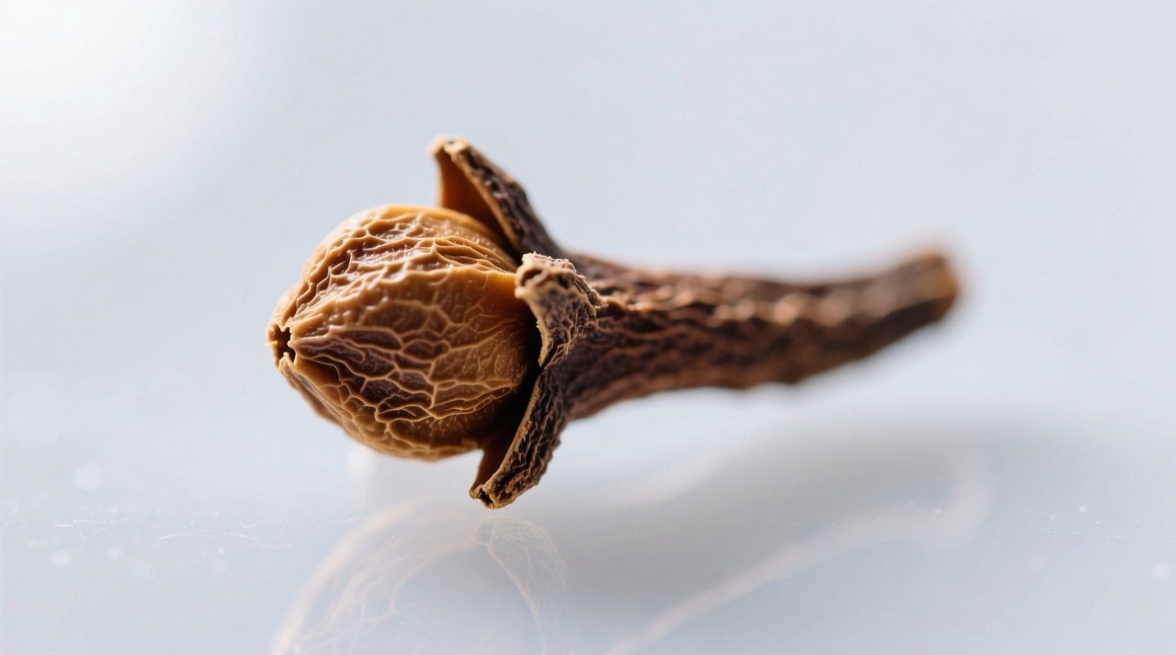 clove spice what it is safety facts and pro cooking tips