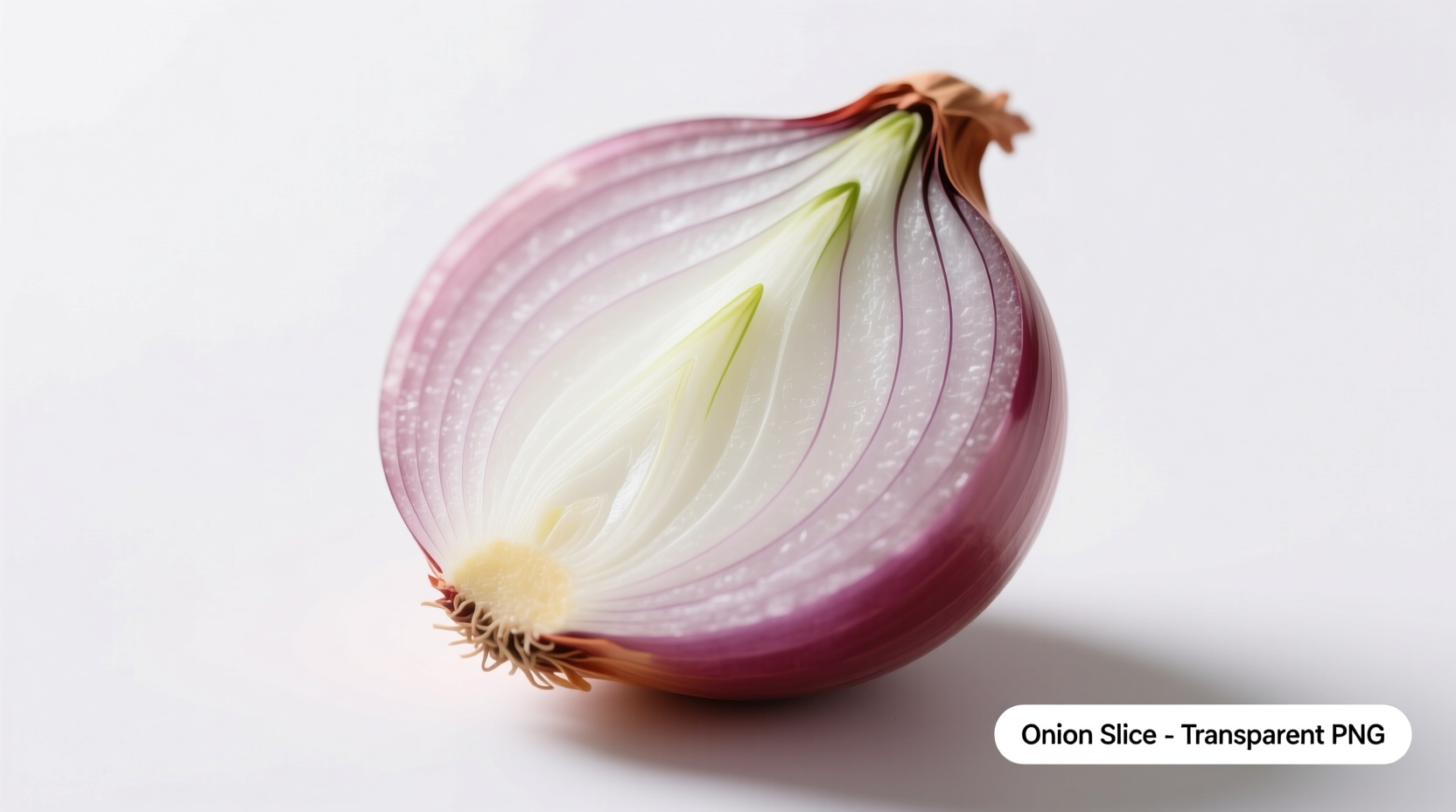 Onion PNG: Transparent Images for Food Design