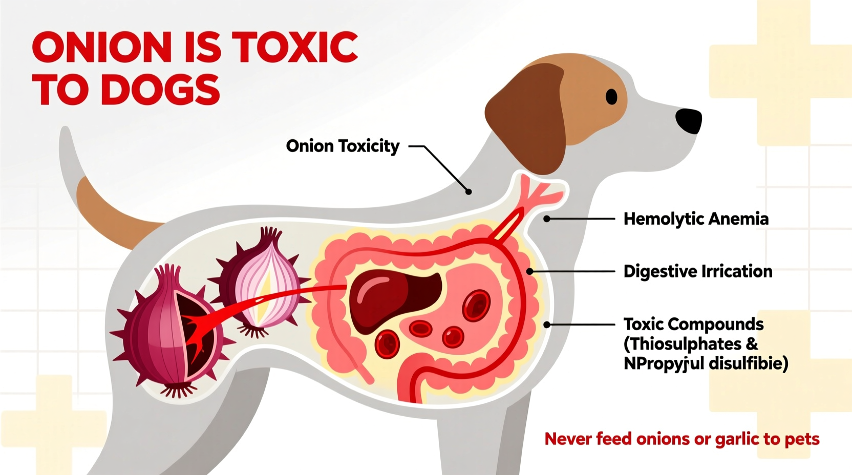 Why Onions Are Dangerous for Dogs: Complete Safety Guide