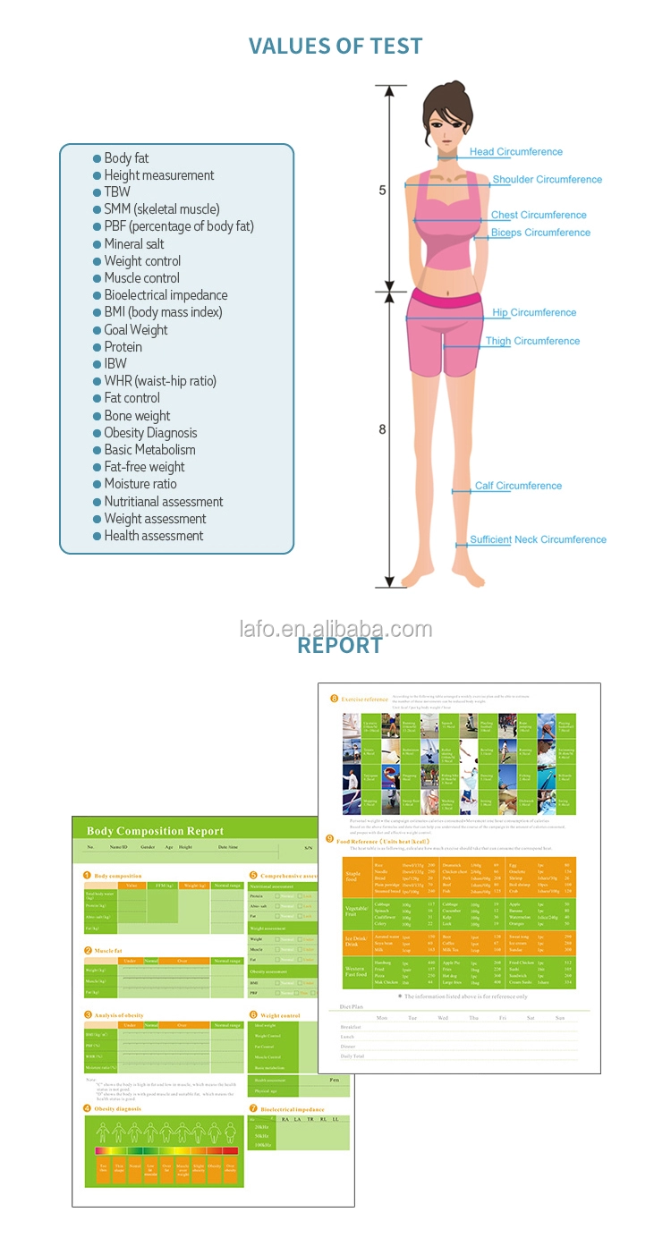 Upgrade model Professional 25 test values Body Fat Analyzer / Body Composition Analysis Machine
