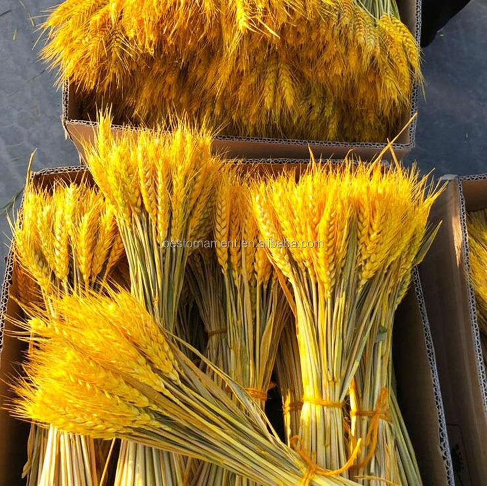 100Pcs/lot Real Natural Wheat Ear Flower Bouquets Wedding Bouquet Dried Flowers Decor
