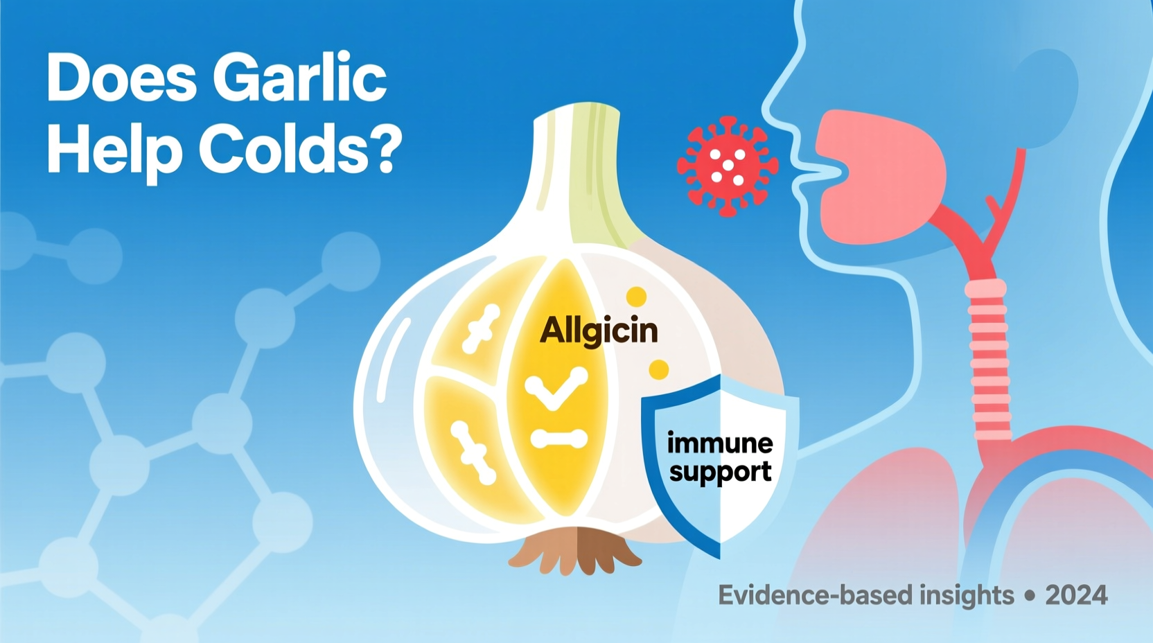 Garlic for Colds: What Science Really Says
