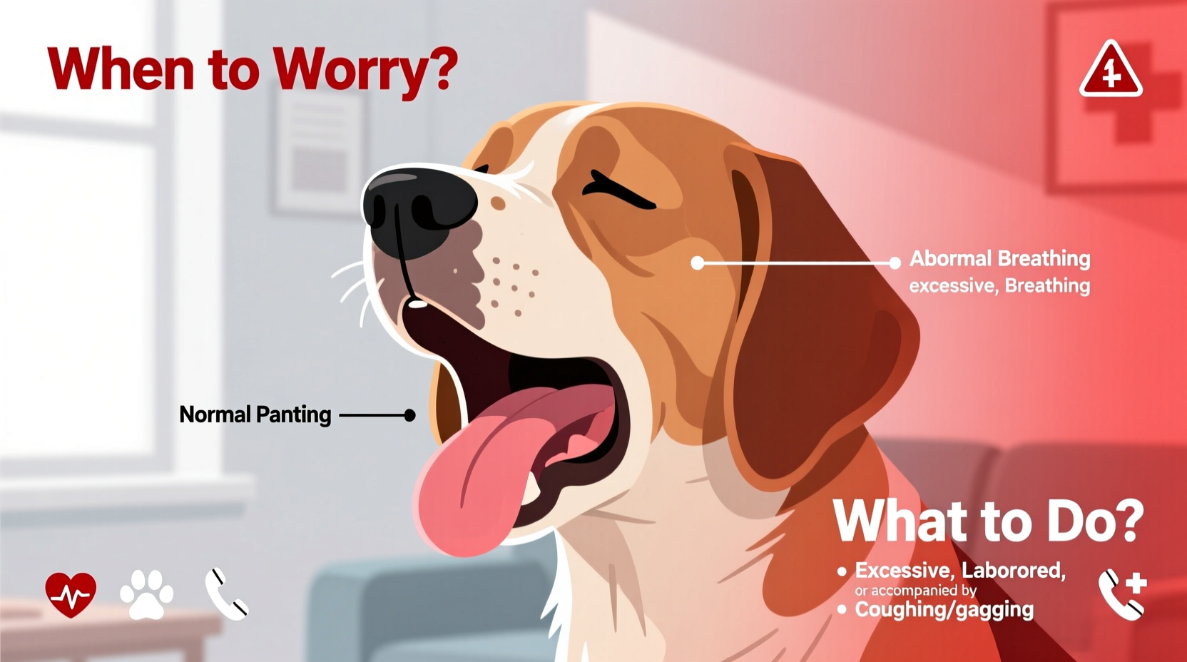 dog breathing fast causes when to worry and what to do 2