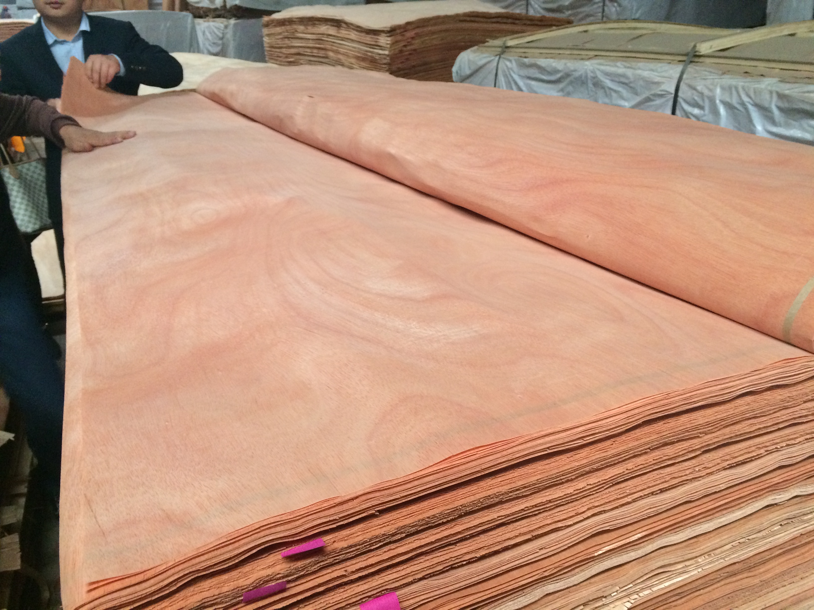 Fsc low price good quality 1mm american walnut beech wood veneer